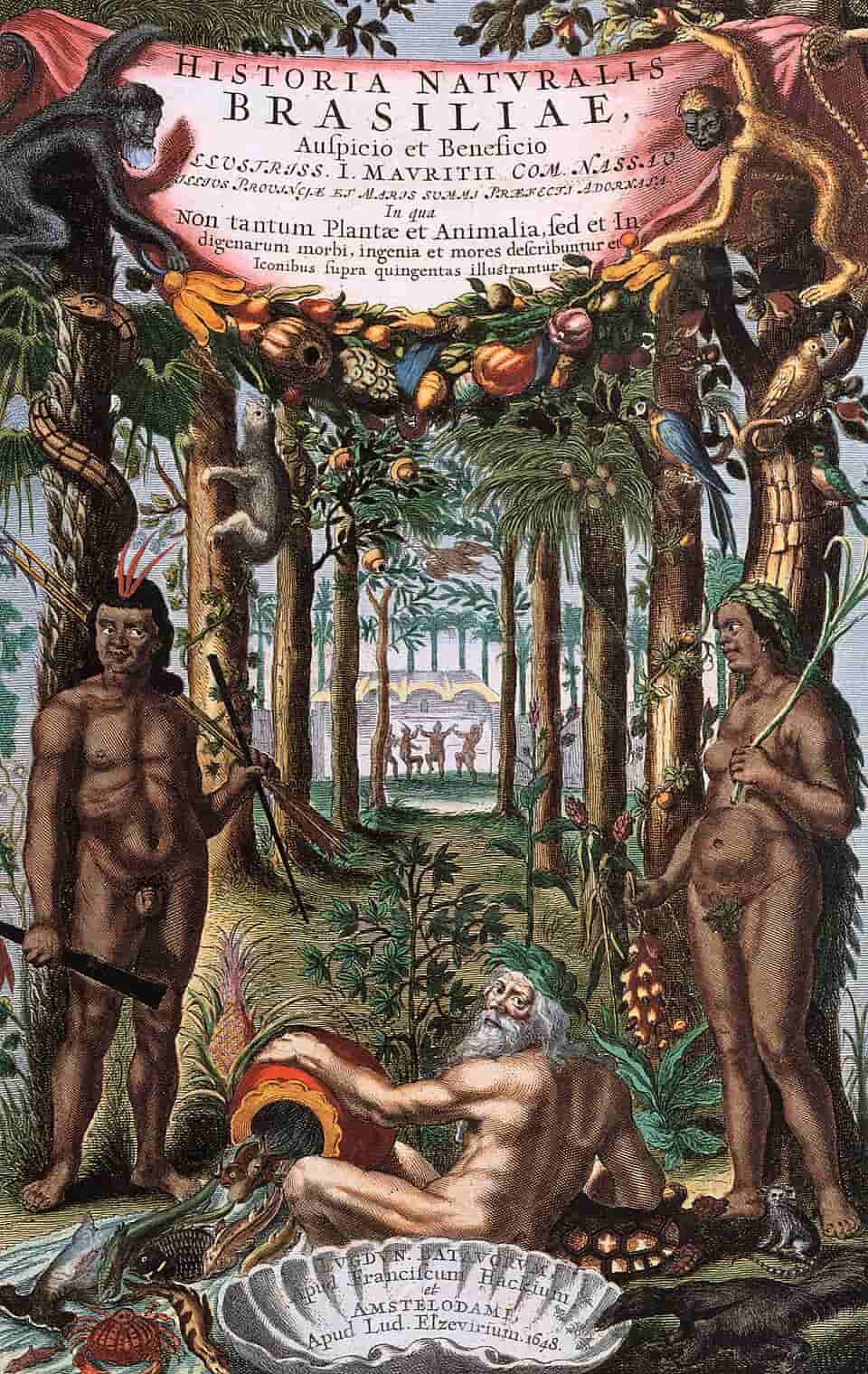 Descrever a natureza no Brasil holandês: ciência e conhecimento na História Natural do Brasil