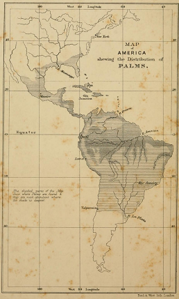 Publicação de Palmeiras da Amazônia e seus usos por Alfred Russel Wallace